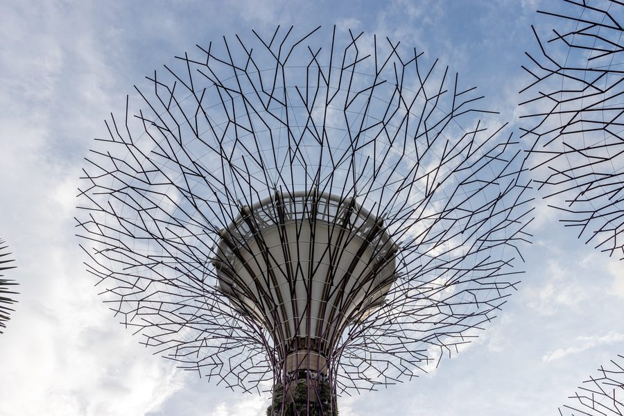 Die baumartigen Supertrees im Supertree Grove von Gardens by the Bay in Singapur.