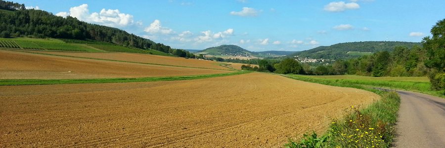 File:La route, en quittant Meuilley - panoramio.jpg