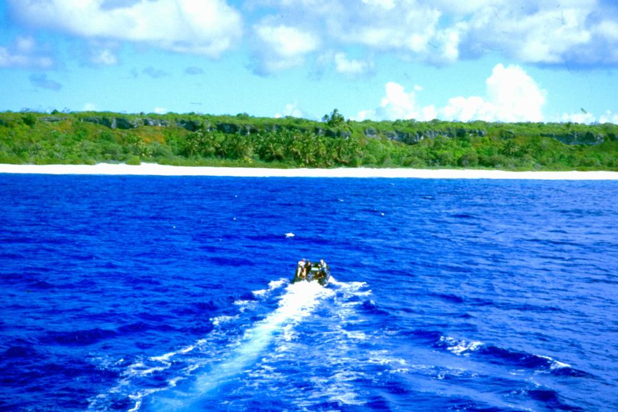 Henderson Island nell’arcipelago delle Isole Pitcairn