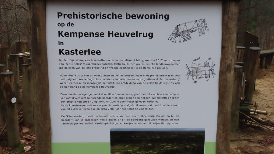 Landschaft des Kempense Heuvelrug in Kasterlee