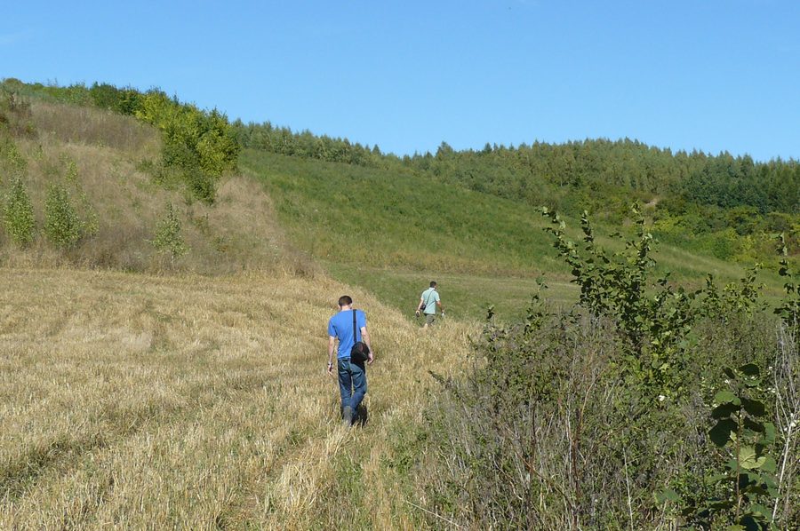 La valle della Noteć presso Morzewo in Polonia