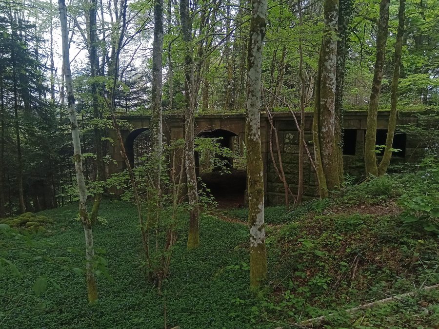 File:Ruine @ Urbeis 01.jpg