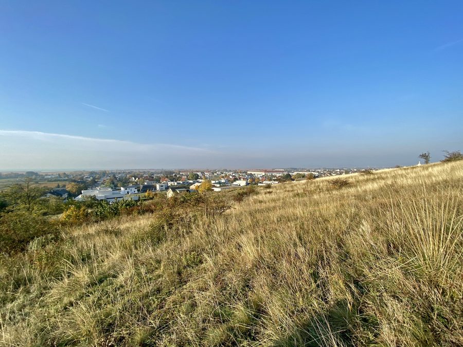 Blick vom Kalvarienberg auf das Stadtzentrum von Neusiedl am See
