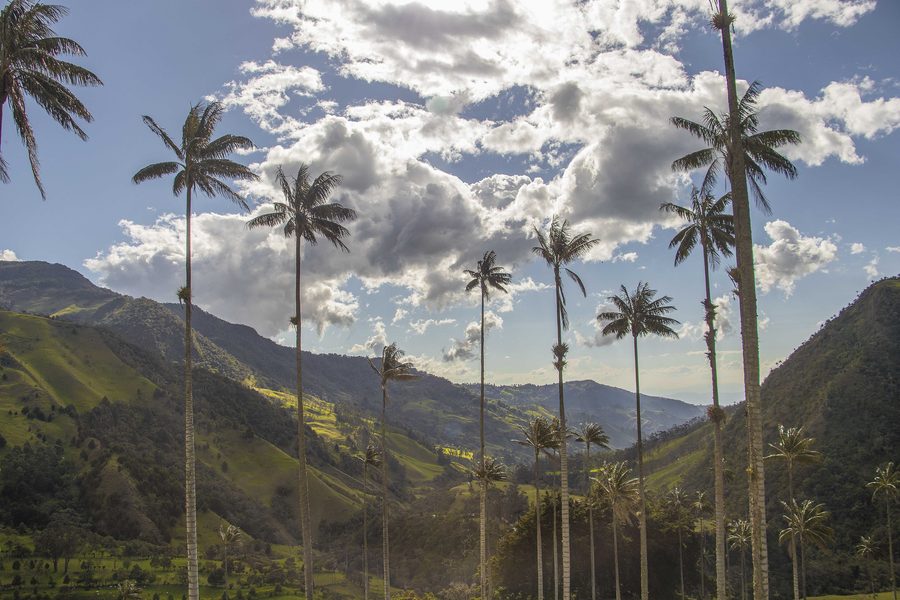 Paesaggio nella zona del caffè della Colombia