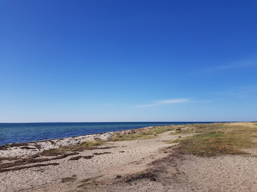 Spiaggia a Fehmarn nell'area paesaggistica protetta di Krummsteert-Sulsdorfer Wiek
