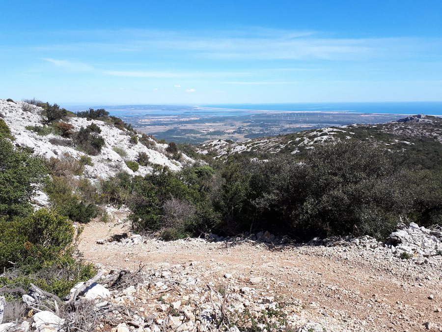 File:Garrigue Roquefort-des-Corbières.jpg