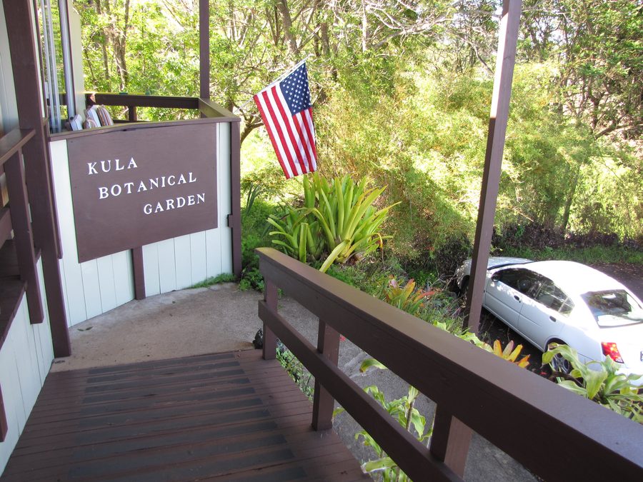 Vegetazione con cartello informativo nel Kula Botanical Garden a Maui