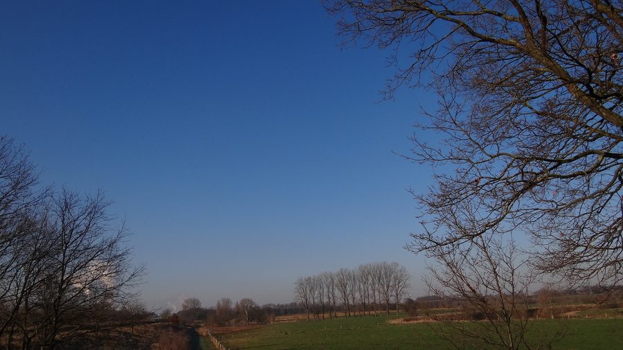 Blick über die Lippe im Naturschutzgebiet „Lippeaue von Stockum bis Werne“