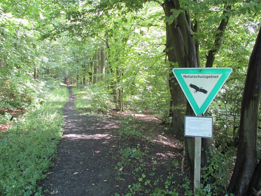 Inizio della riserva naturale Arnsberger Wald presso Niedereimer