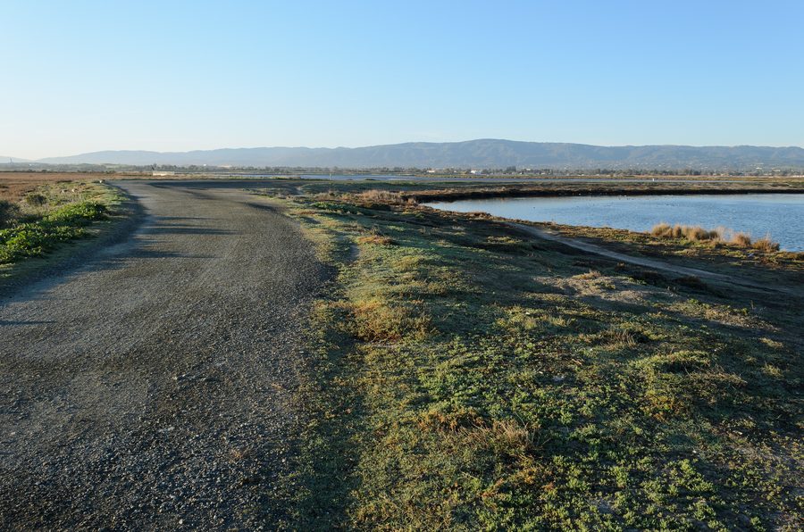 Baylands Nature Preserve a Palo Alto, California