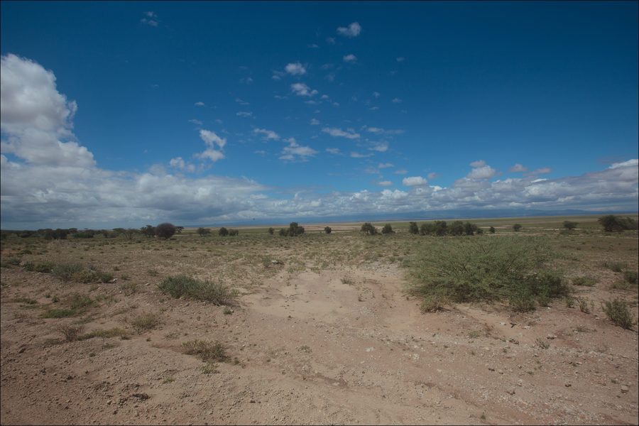 Landschaft im Amboseli-Nationalpark im Kajiado District mit weiter Ebene und markanten Erhebungen