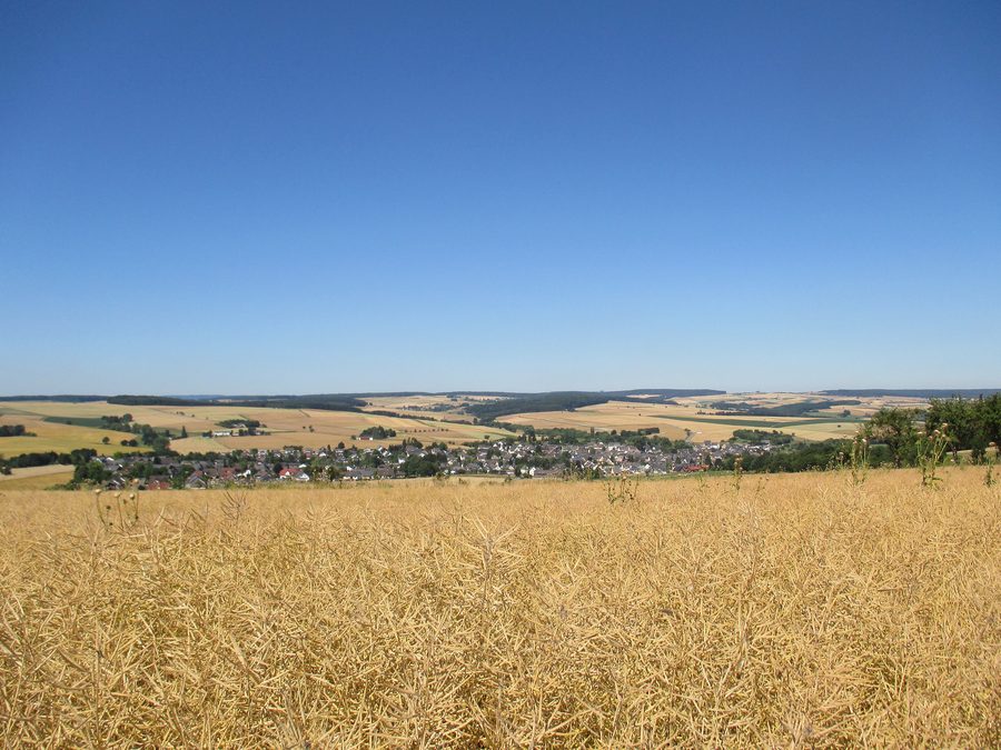 Ländliche Landschaft bei Miehlen im Taunus in Rheinland-Pfalz