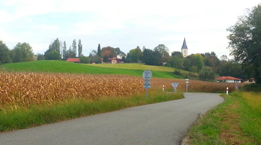 File:Couleurs pittoresque de la campagne landaise, vers Orist - panoramio.jpg
