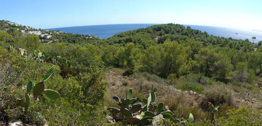 File:Roca Llisa des del torrent de sa Font - panoramio.jpg