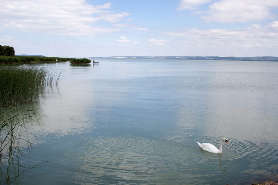 Vista dal pontile a Balatonakali sul Balaton verso est