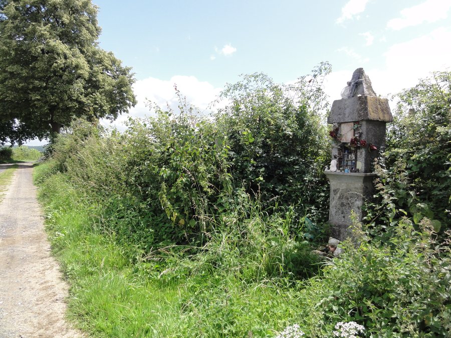 File:Wignehies (Nord, Fr) chapelle et paysage près rue Gogant.jpg