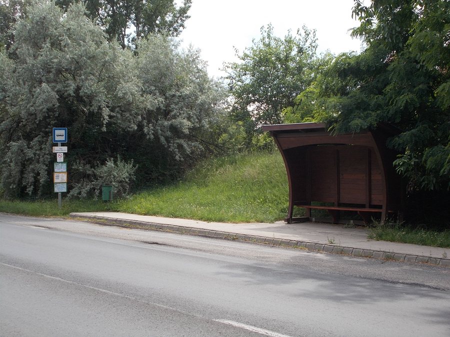'Göd, Gárdonyi Géza utca' bus stop, 2020 Göd.jpg