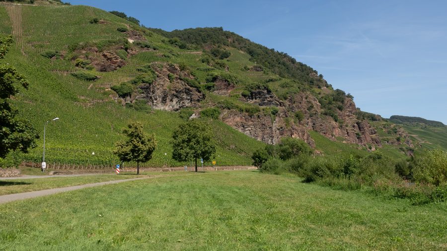 Mosellandschaft mit Weinbergen zwischen Ürzig und Kinheim