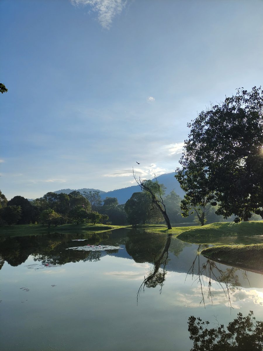 Taiping Lake Gardens in Taiping mit See und tropischer Gartenlandschaft