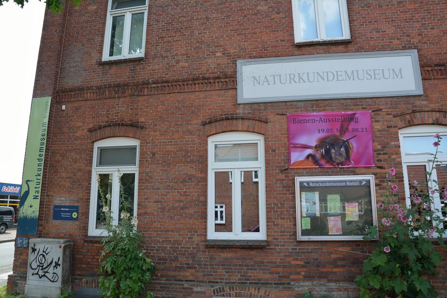 Ausstellung im Naturkundemuseum Niebüll