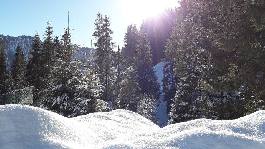 File:Habkern.jpg