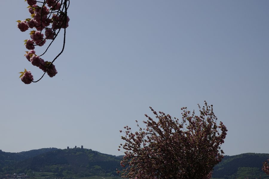 File:Paysage (Eguisheim) (2).jpg