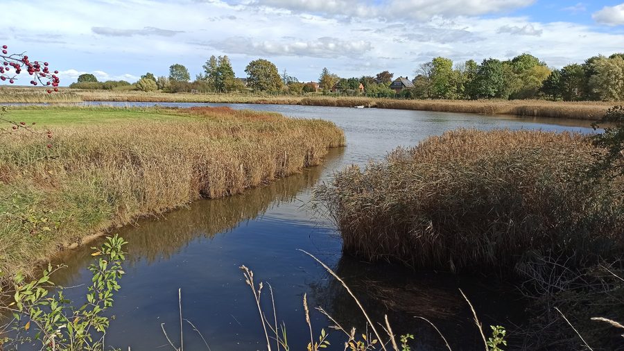 Mündung der Olpenitz in die Schlei