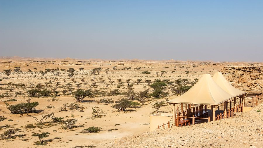 Paesaggio dell’incenso nel Wadi Dawkah nel Dhofar, Oman