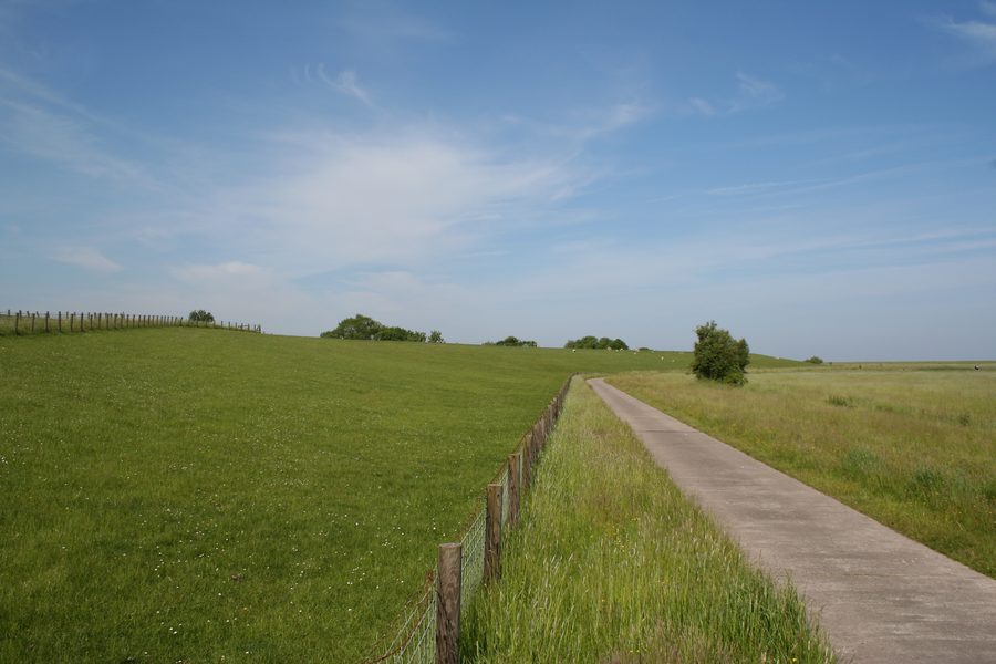 Deich nahe Fedderwadersiel in Butjadingen