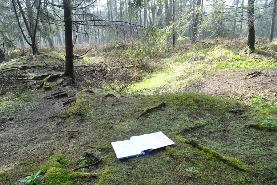 Remains of the megalithic tomb Oerel site 27