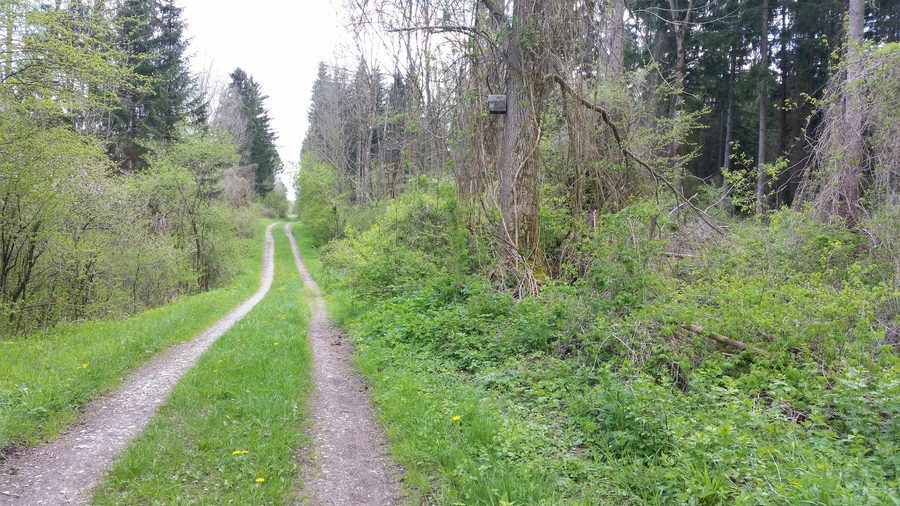 Wertachauen im Landkreis Unterallgäu mit Blick über das Ostufer der Wertach nach Süden
