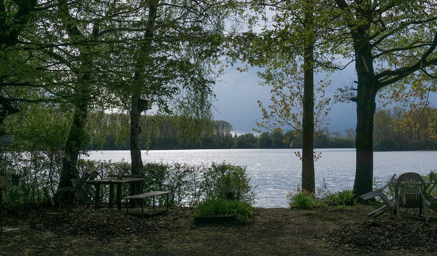 Landschaft am Otterstädter Altrhein im Umfeld von Waldsee