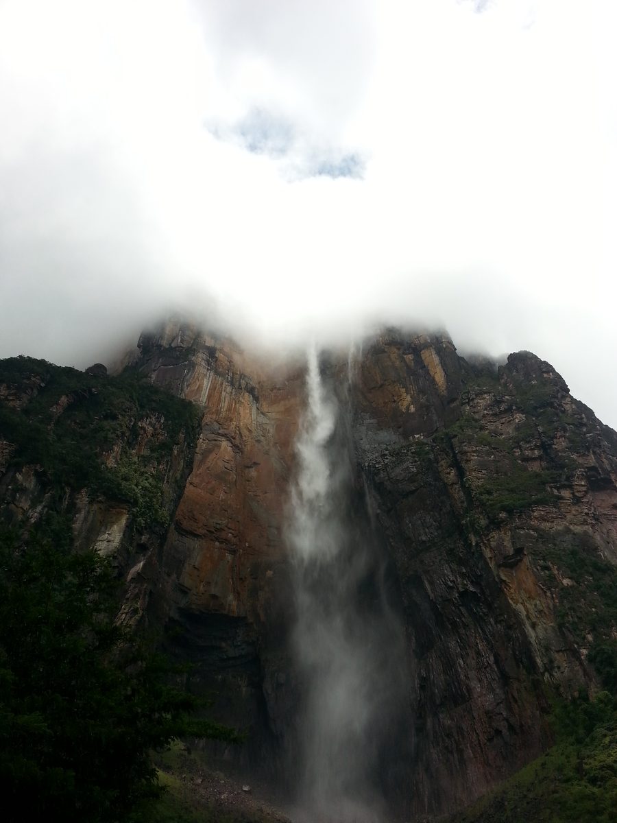 Der Angel Falls im Canaima-Nationalpark in Bolívar, mit dem Wasserfall vor bewaldeten Tafelbergen.