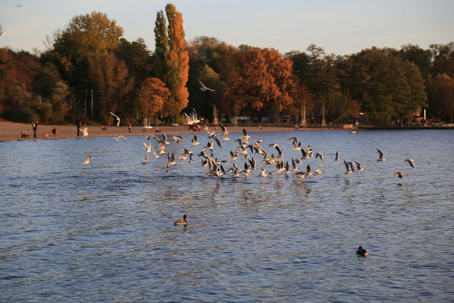 Lido Müggelsee a Berlino-Rahnsdorf con vista sulla spiaggia