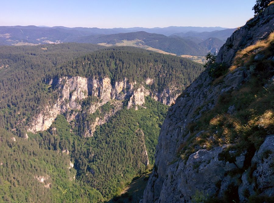 Buynovo Gorge in the Rhodope Mountains, viewed from above with steep forested slopes and a winding road.