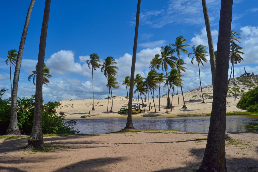 Palme da cocco sul Rio Punaú tra dune e costa