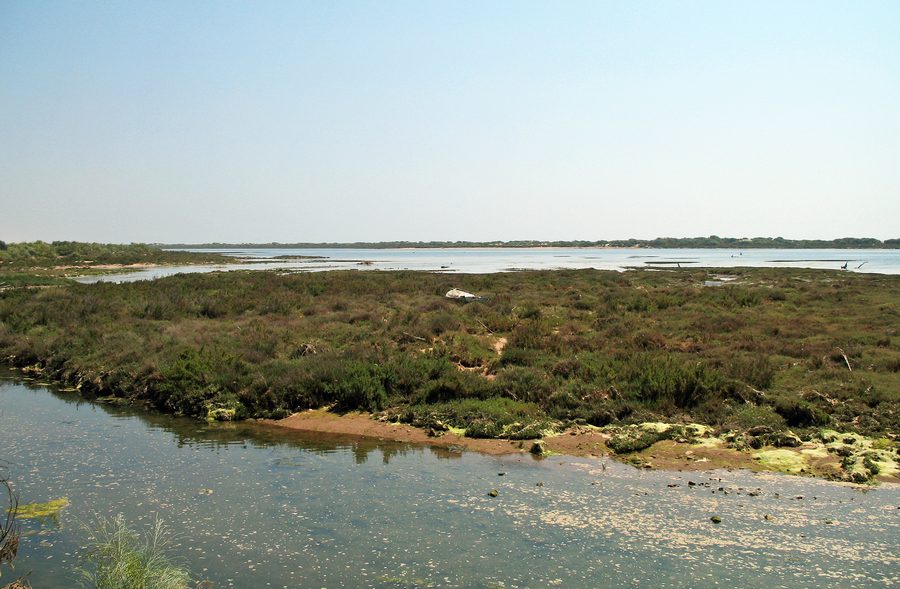 Ria Formosa con paesaggio lagunare nell’Algarve