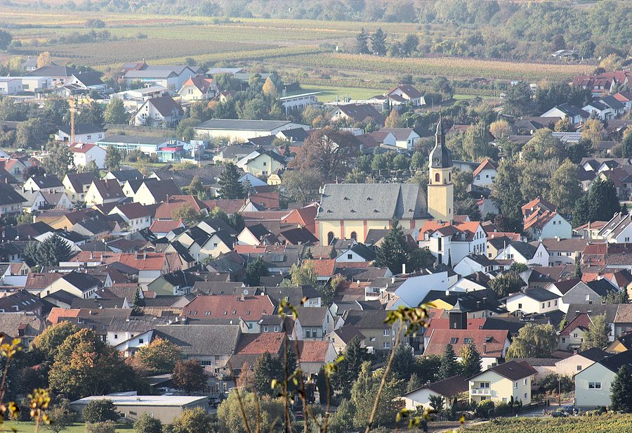Vista dallo Jakobsberg verso la chiesa dei Santi Pietro e Paolo a Ockenheim
