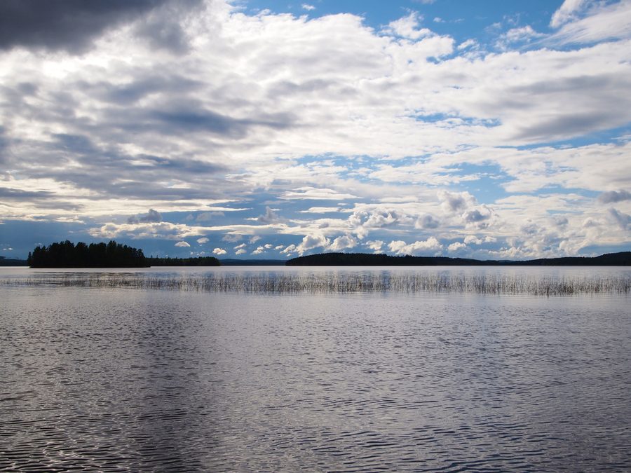 Vista del Muuratjärvi presso Muurame con riva boscosa