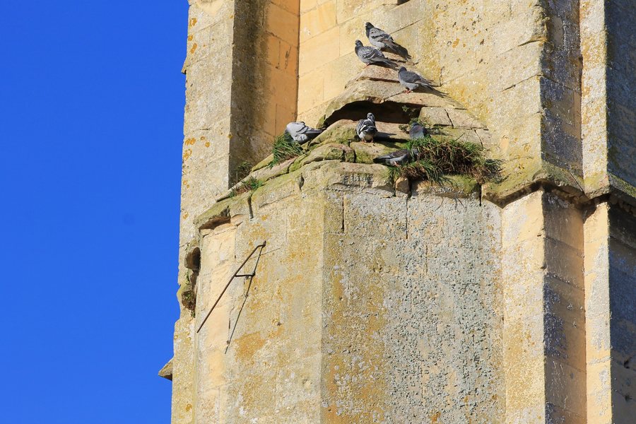 File:Bretteville sur Odon église ND cadran solaire.JPG