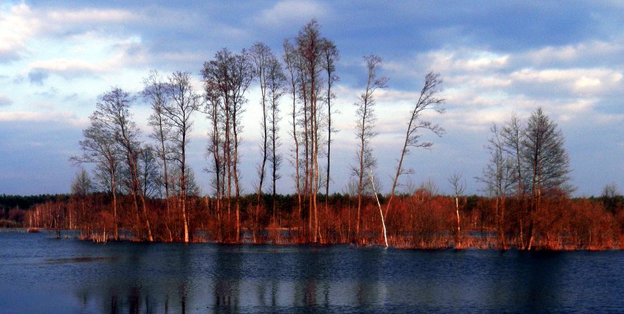 Paesaggio nel Parco Paesaggistico della Gola del Bug nella Podlachia