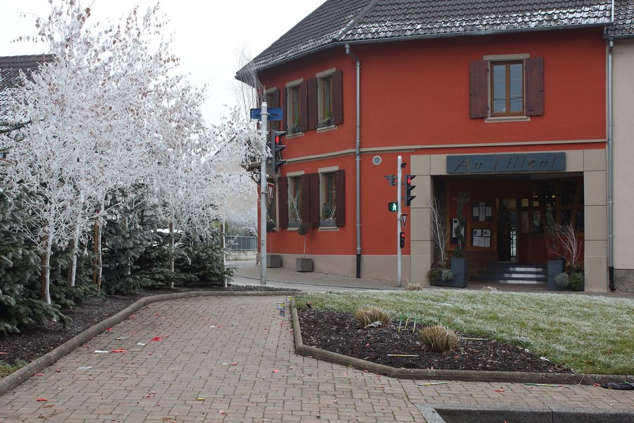 File:2017-01-01-14-15-09 Mittelhausbergen givré (37506384096).jpg