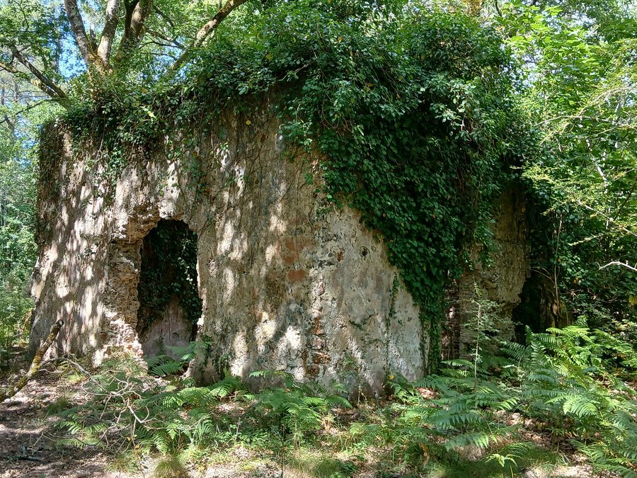 File:Église Saint-Pierre de Mézos 01.jpg