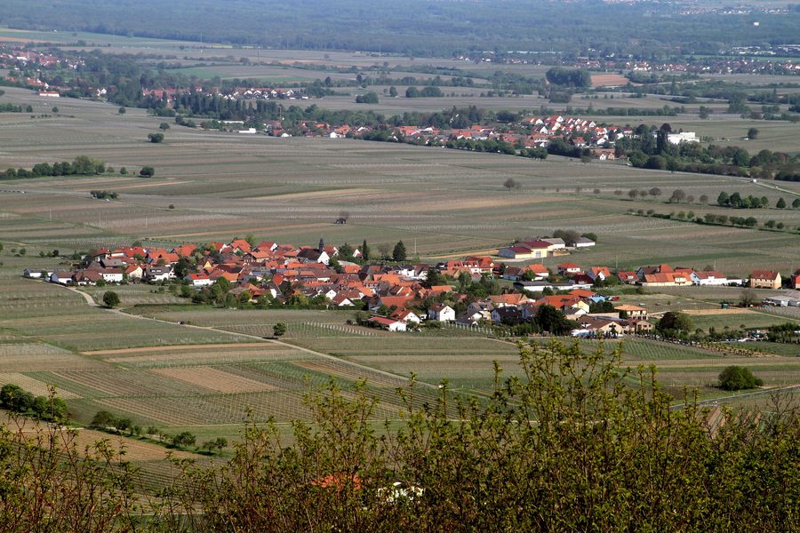 Blick von der St.-Anna-Kapelle über Flemlingen und die Weinberge