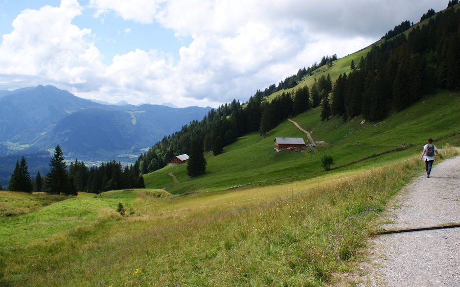 Alpflächen und Berglandschaft im Bregenzerwald im Raum Bezau–Reuthe