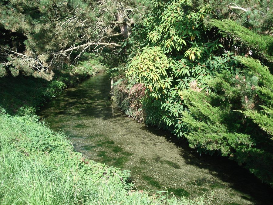 Der Biberbach in Langenenslingen, kurz nach seinem Ursprung