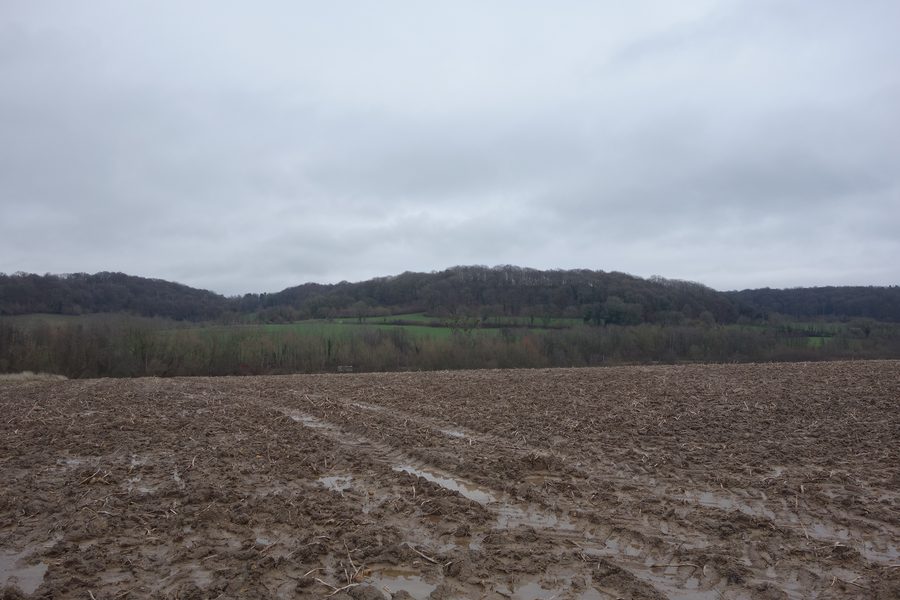 Uitzicht op Broekbos, Konenbos en Veursbos vanuit Veurs in Voeren