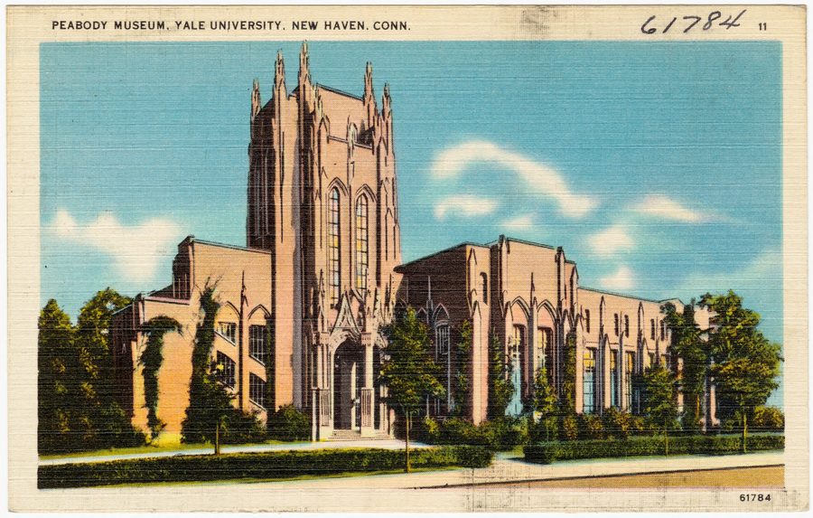 Peabody Museum at Yale University in New Haven, Connecticut