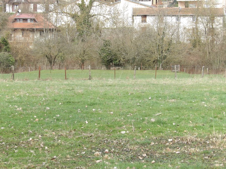 File:Motte castrale richardmenil.jpg