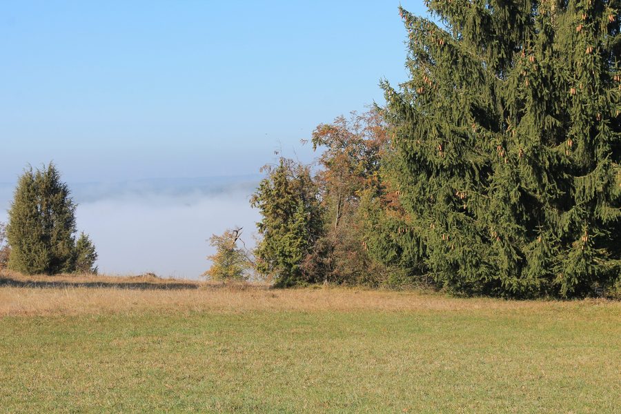 Blick über das Steinheimer Becken bei Steinheim am Albuch mit Wacholderheide im Herbst